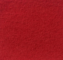 Load image into Gallery viewer, POLY SPECIAL CATIONIC SPANDEX POLAR FLEECE 280 GSM