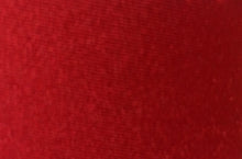 Load image into Gallery viewer, NYLON SPANDEX SHINY TRICOT 210 GSM