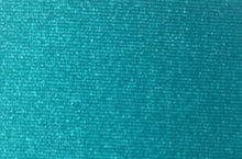 Load image into Gallery viewer, NYLON SPANDEX SHINY TRICOT 210 GSM