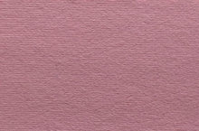 Load image into Gallery viewer, NYLON SPANDEX DULL TRICOT 210 GSM